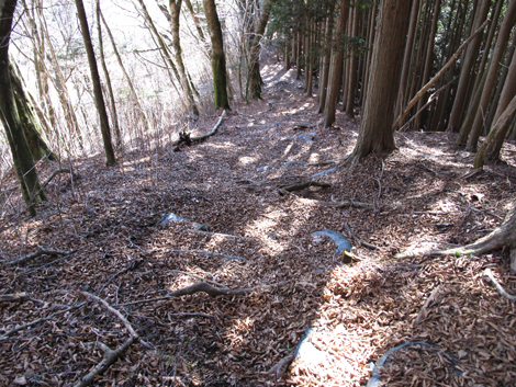 20161206hike (329)